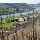 Die Mosel unterhalb vom Himmelreich