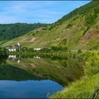 Die Mosel zum Spiegltag