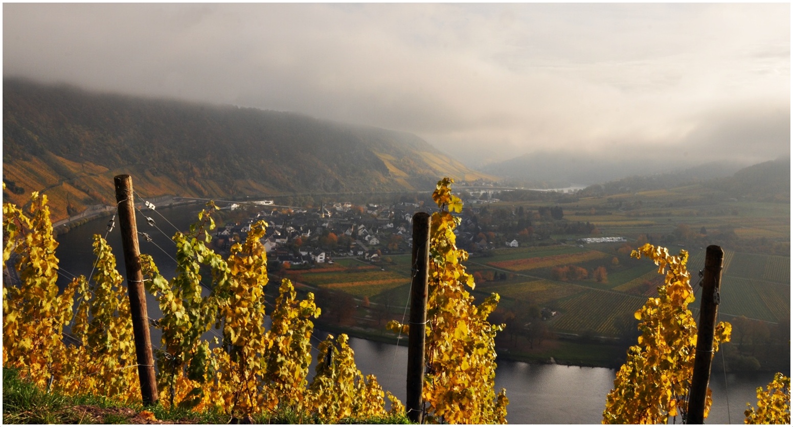 die Mosel..1