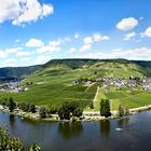 Die Moselschleife bei Beilstein 027 Spiegelbild 