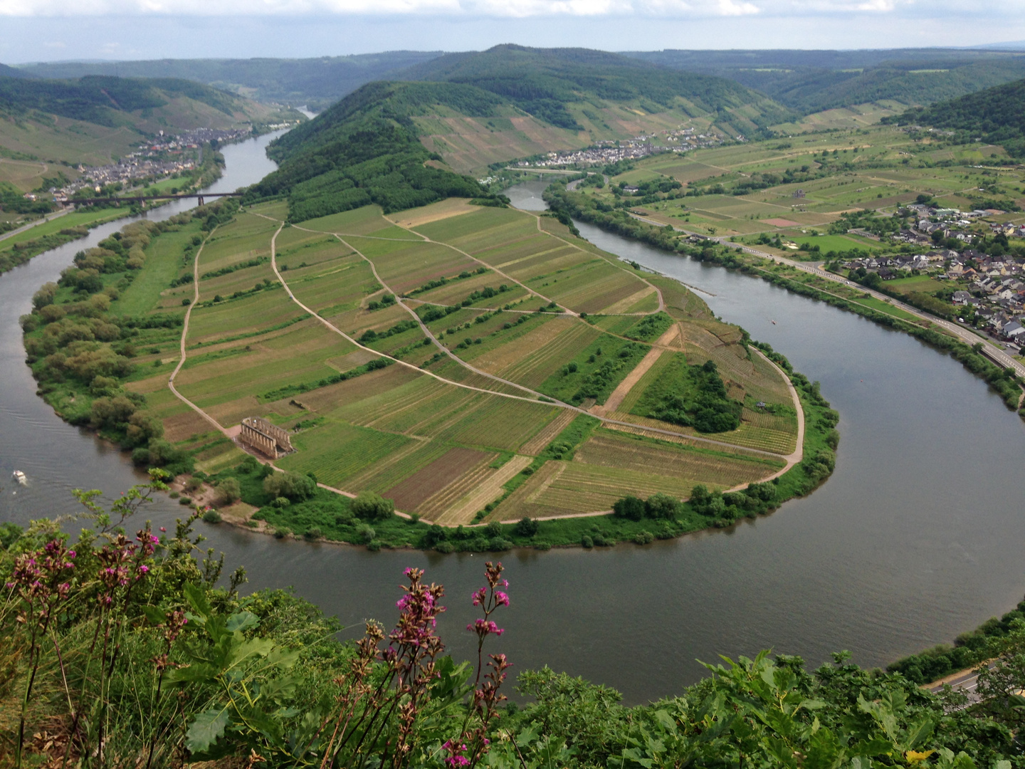 Die Moselschleife bei Bremm