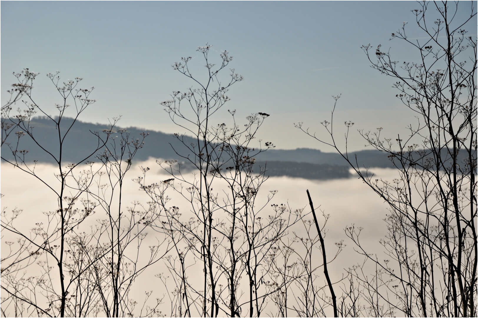 die Moselschleife Blick auf Wolf