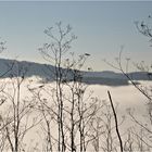 die Moselschleife Blick auf Wolf