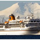 Die MS Bremen auf Expeditionskreuzfahrt vor der antarktischen Halbinsel