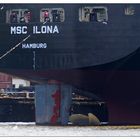 Die MSC Ilona