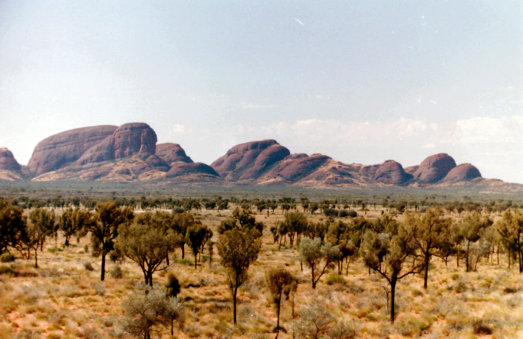 die mt.olgas