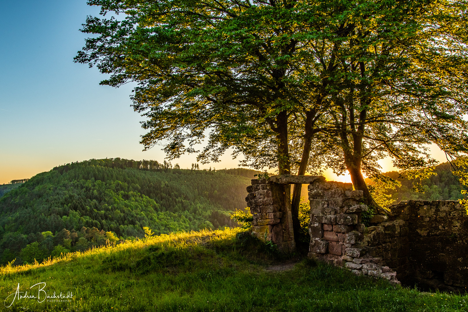 ...die Mücken tanzen im Abendlicht