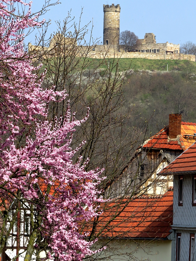 Die Mühlburg...