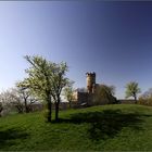 Die Mühlburg im Frühling