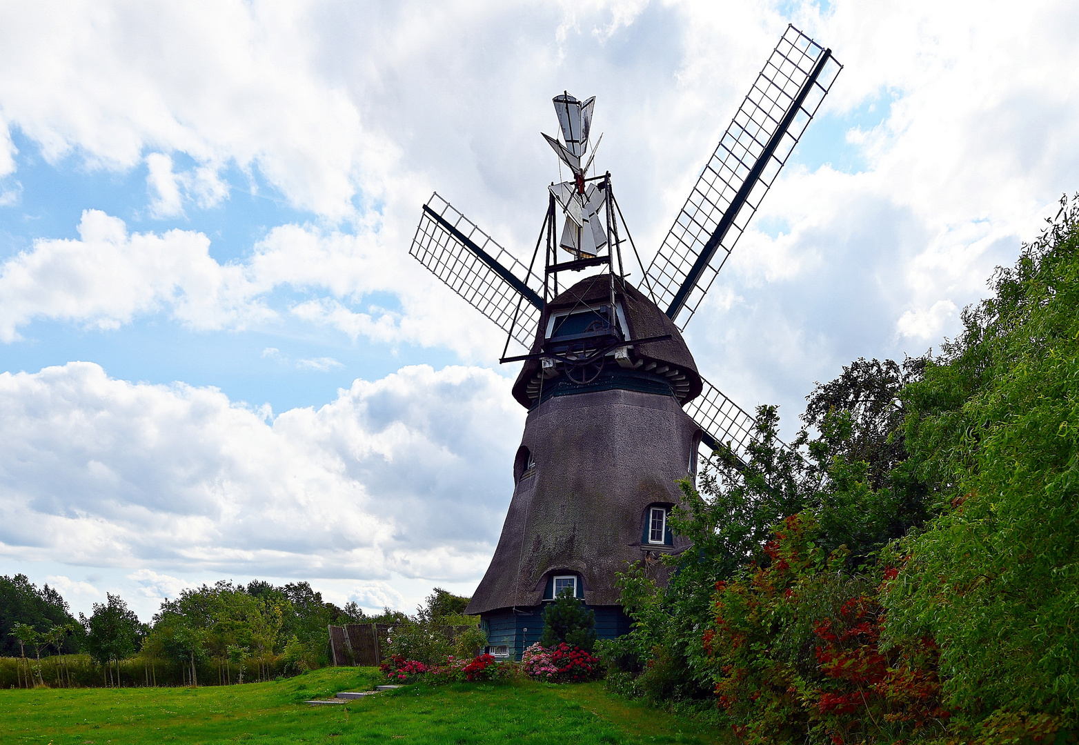 Die Mühle Charlotte in der Geltinger Birk