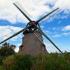 Die Mühle Charlotte in der Geltinger Birk