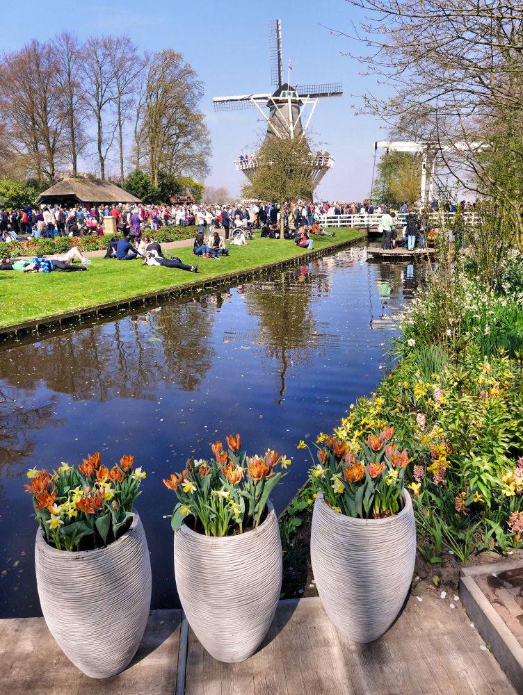 Die Mühle im Keukenhof