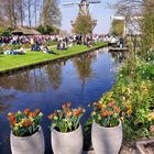 Die Mühle im Keukenhof