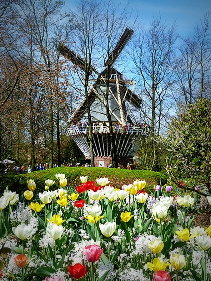 Die Mühle im Keukenhof.