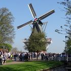 die Mühle im Keukenhof in den Niederlanden.