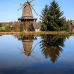 Die Mühle Sanssouci im Spiegel