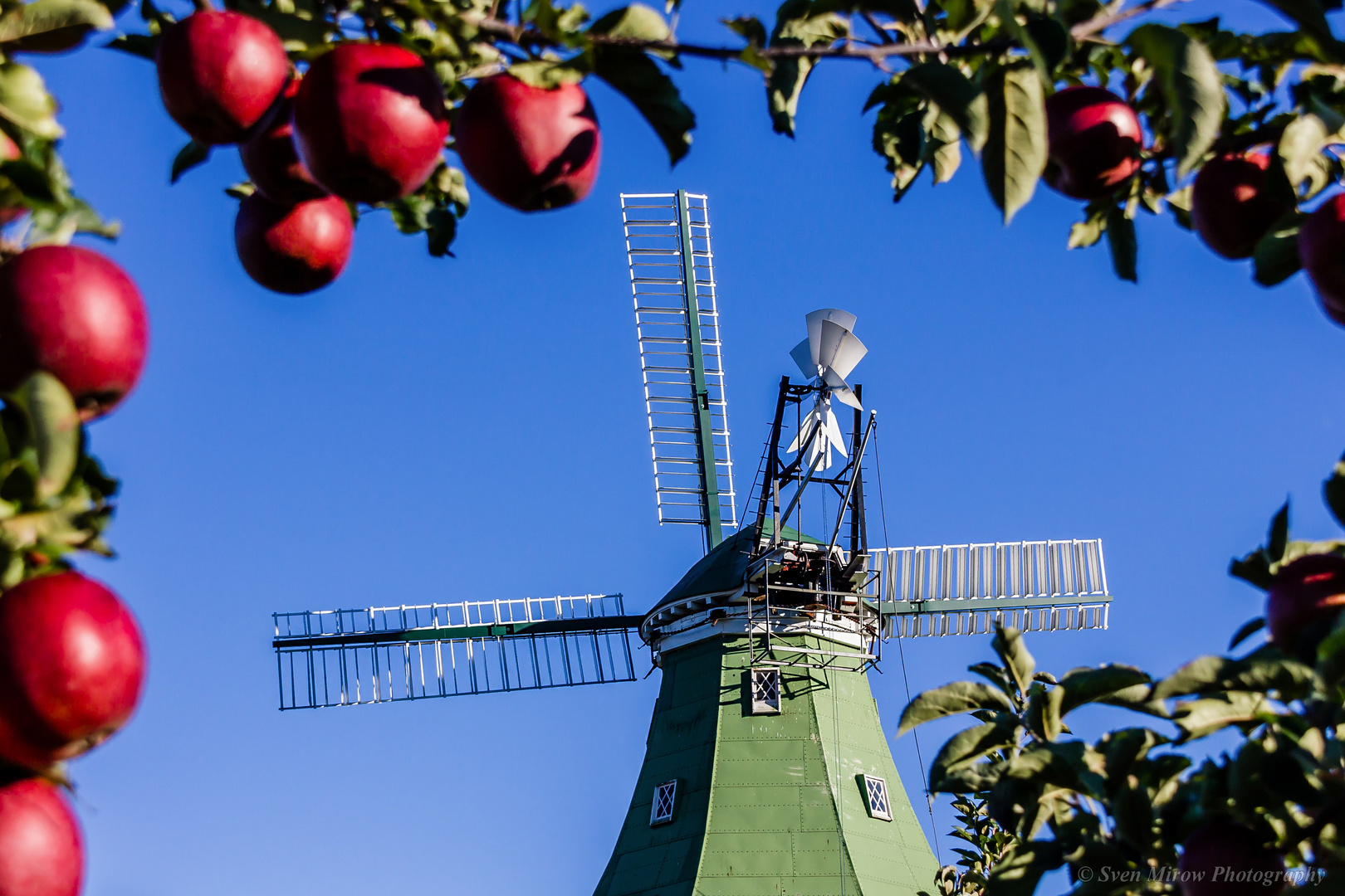 Die Mühle Venti Amica während der Apfelzeit