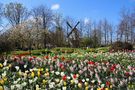 "Die Mühle vom Keukenhof" by sylvinchen 