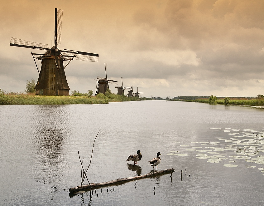 Die Mühlen von Kinderdijk