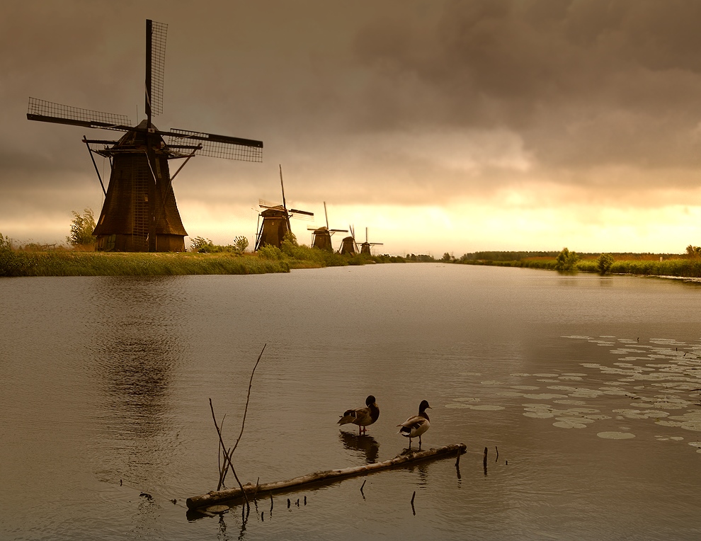 Die Mühlen von Kinderdijk - wieder eine Stunde später :-)