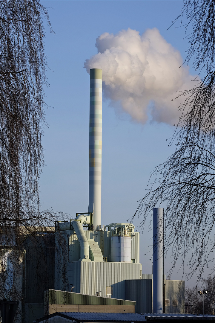 Die Müllverbrennungsanlage in Neustadt arbeitet auf Hochtouren...