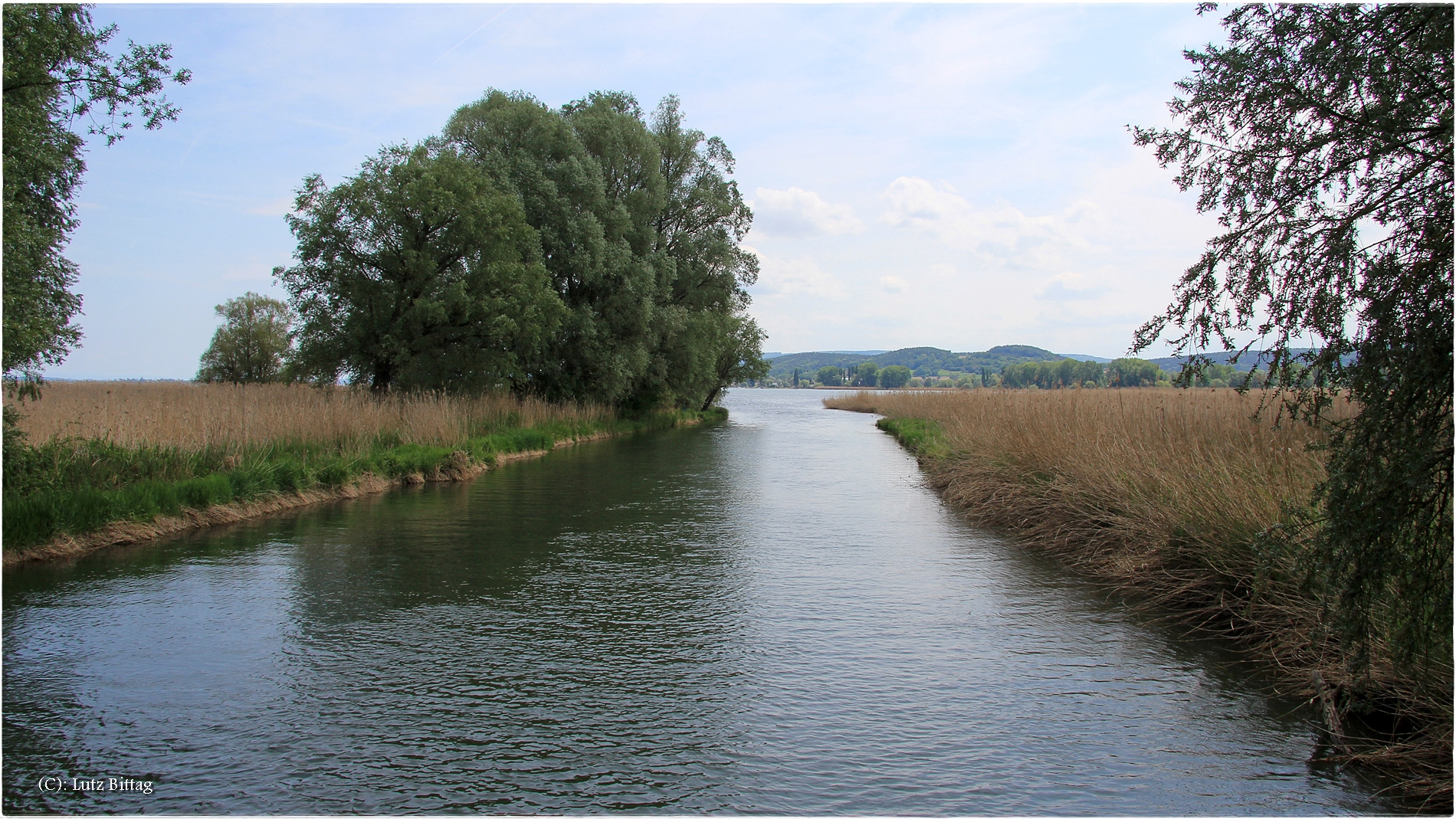 Die Mündung der Hegauer Aach