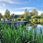 die Mündung der Recknitz bei Damgarten