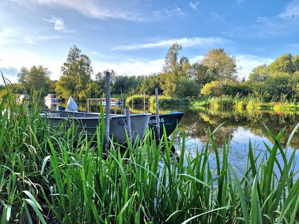 die Mündung der Recknitz bei Damgarten