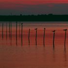 Die Müritz am Abend