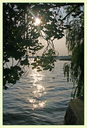 Die Müritz bei Gegenlicht am frühen Abend