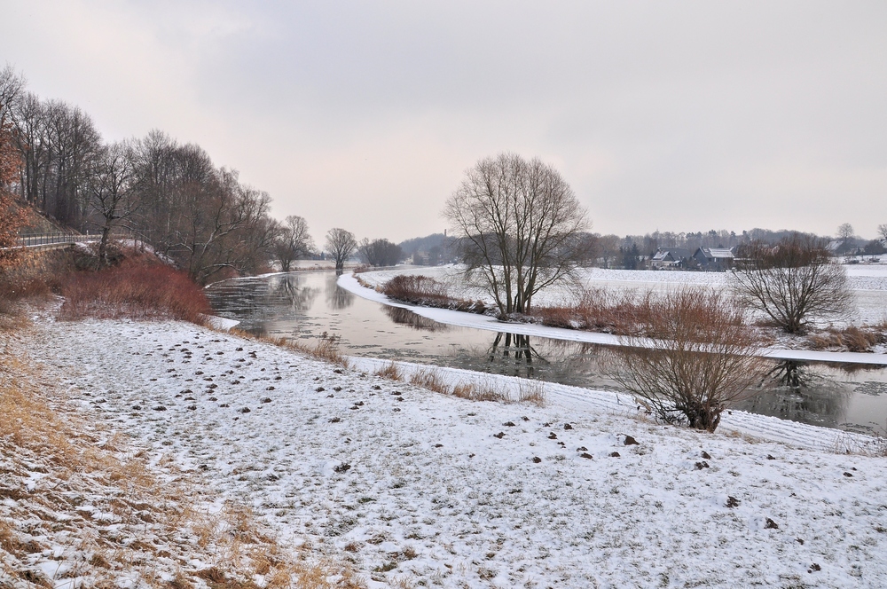 Die Mulde bei Remse.......... mit Eisgang