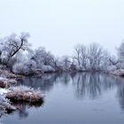 die Mulde im Winter