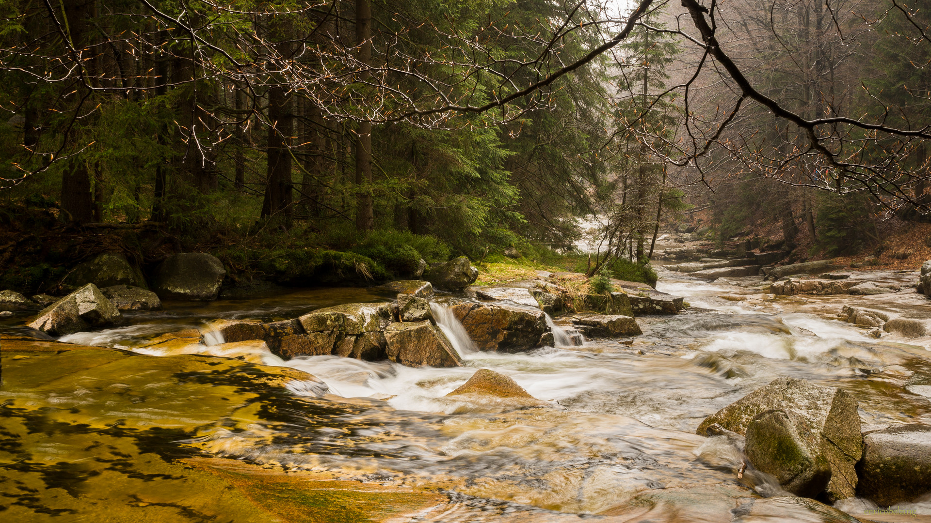 Die Mummel in Harrachov