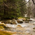 Die Mummel in Harrachov