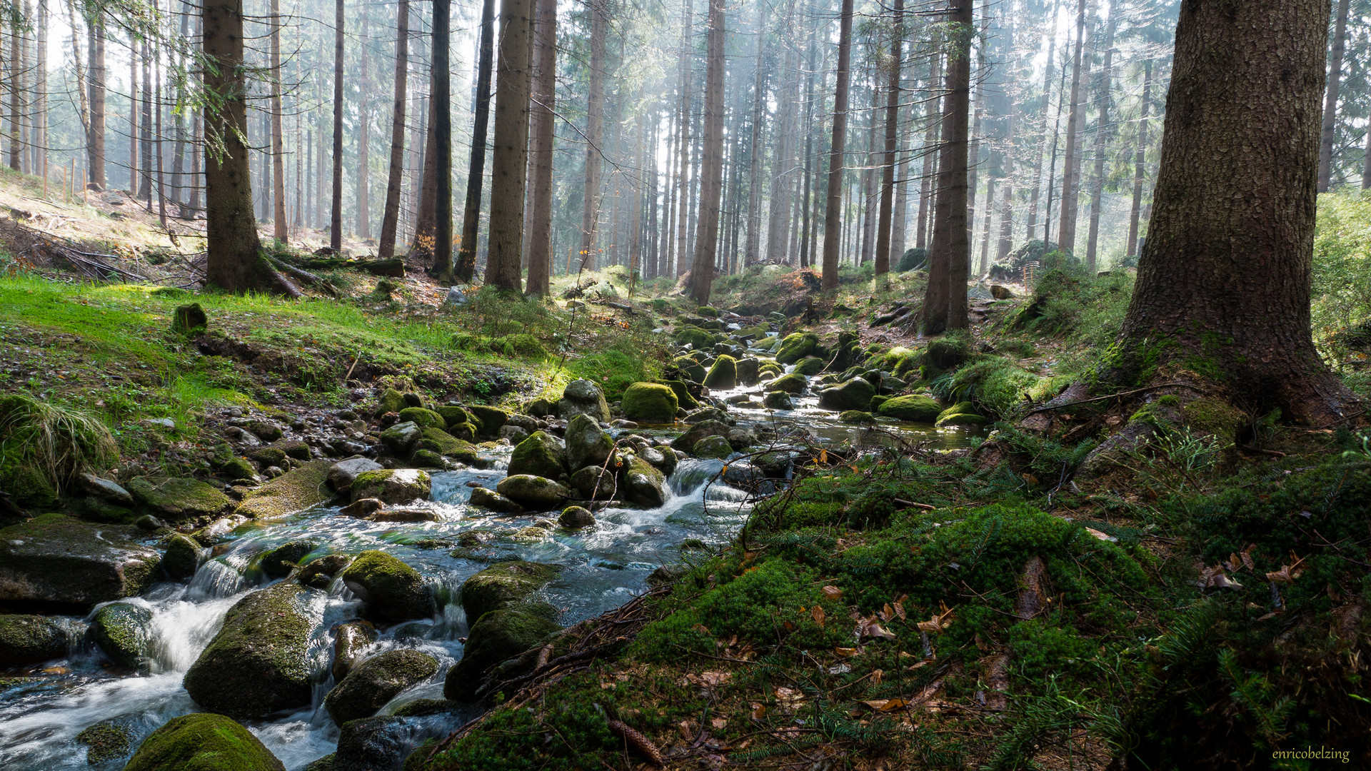 Die Mummel in Harrachov