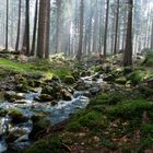 Die Mummel in Harrachov