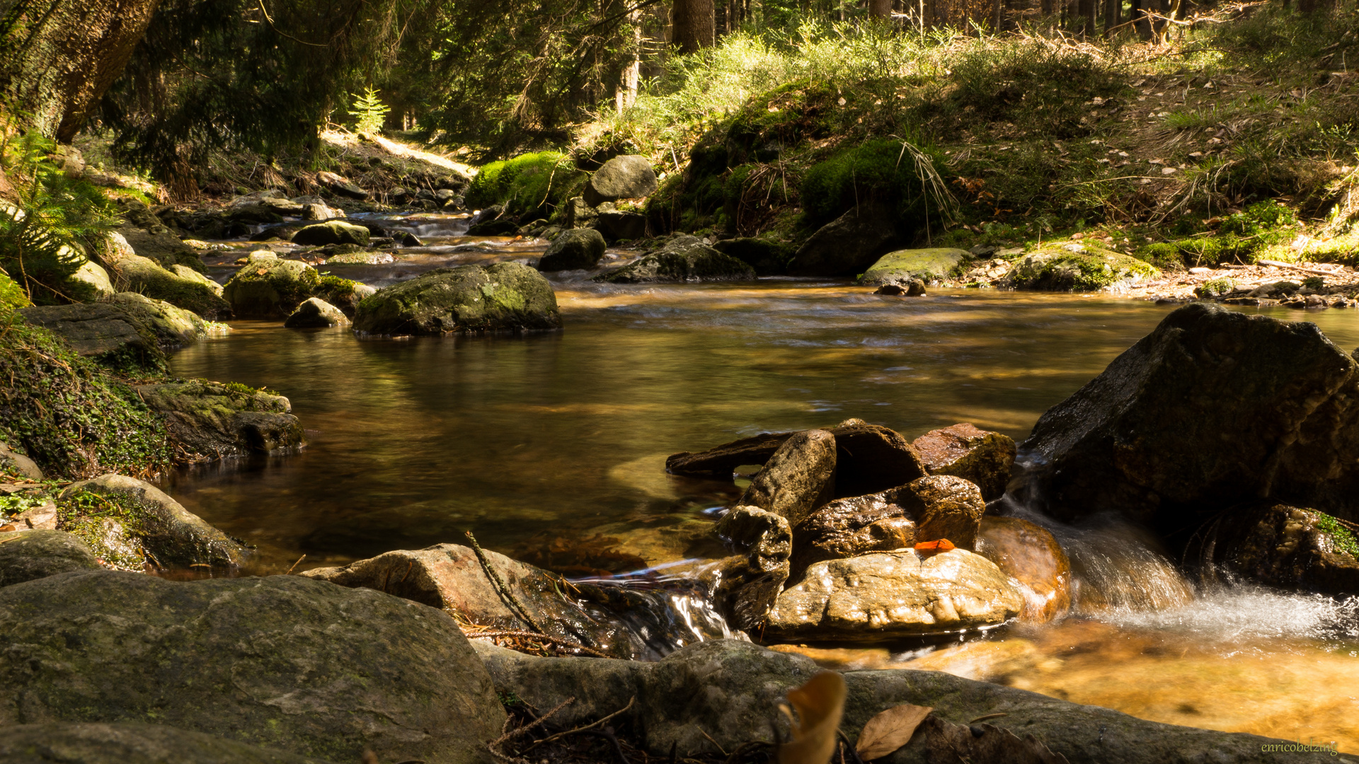 Die Mummel in Harrachov