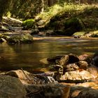 Die Mummel in Harrachov