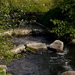 Die muntere Agger Bild II bei Siegburg.