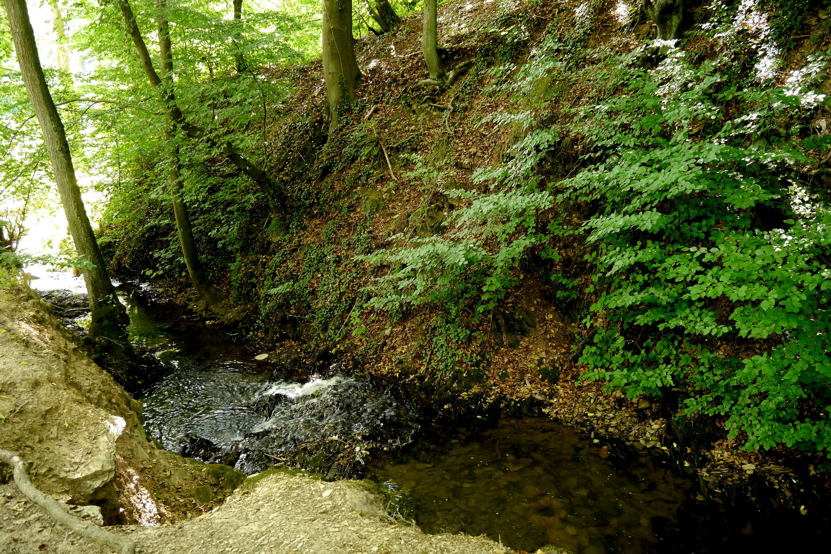 Die muntere Düssel bei Aprath aus einer anderen Perspektive.