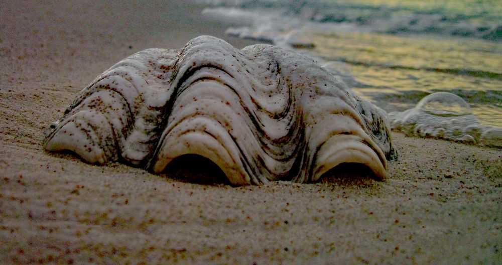 die Mupfel und der Blubb ... Foto &amp; Bild | outdoor, meer, natur Bilder ...