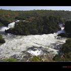 Die Murchison Falls