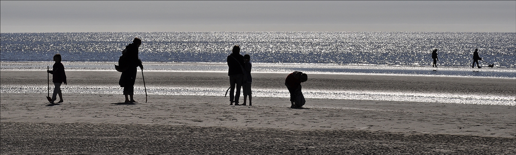 die Muschelsucherin