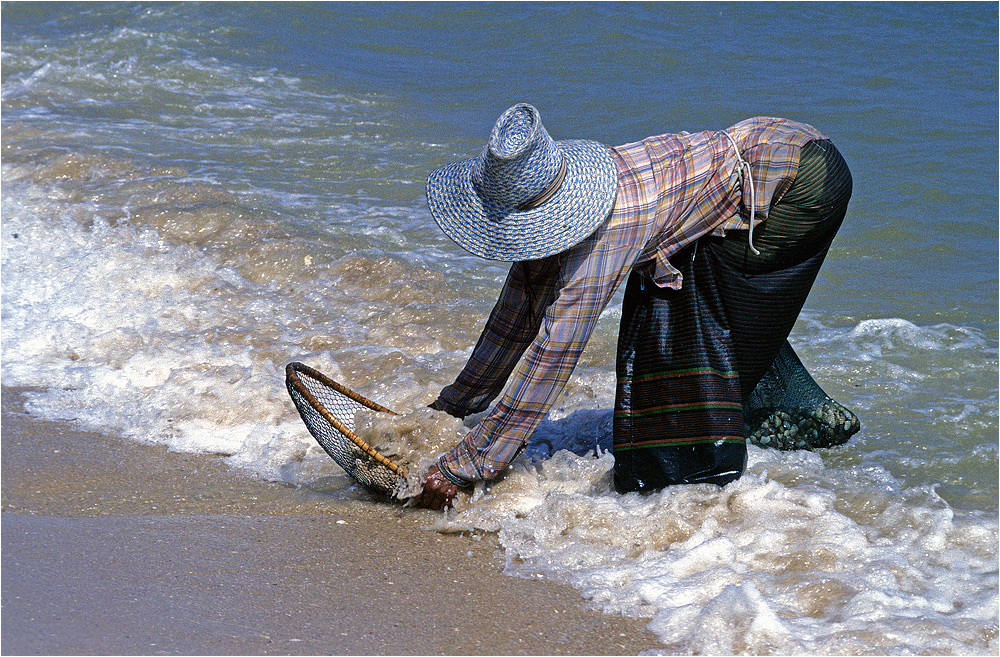 Die Muschelsucherin