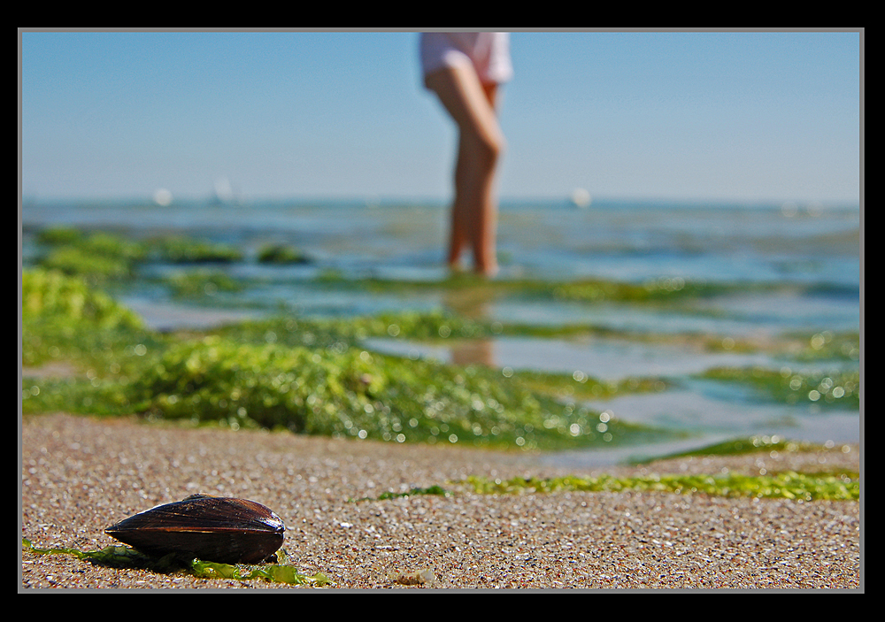 Die Muschelsucherin