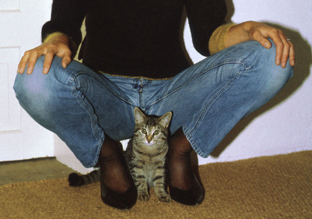 die muschi meiner bewährungshelferin Foto & Bild die muschi meiner bewährungshelferin Foto & Bild