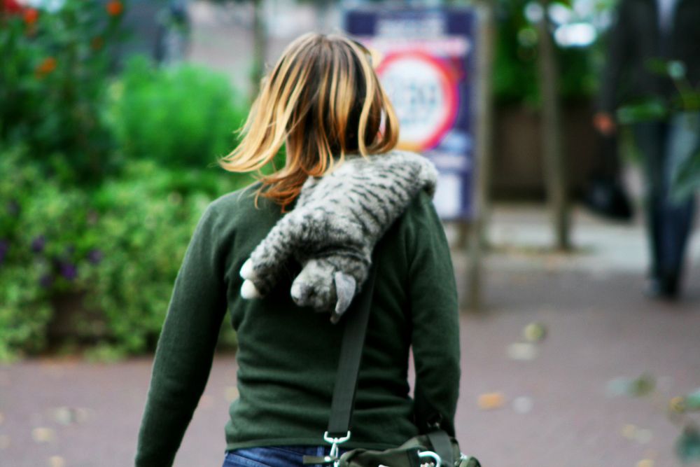 Die Muschi Trägerin Foto & Bild | streetfotografie, street Die Muschi Trägerin Foto & Bild | streetfotografie, street