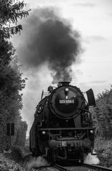 die Museumsbahn in der Vorbeifahrt