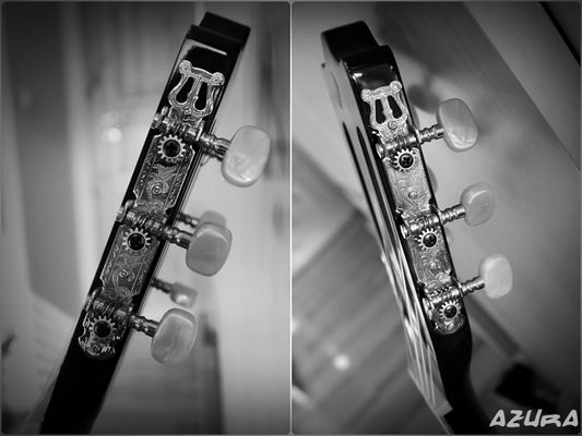 "Die Musik drückt das aus, was nicht gesagt werden kann und worüber zu schweigen unmöglich ist."