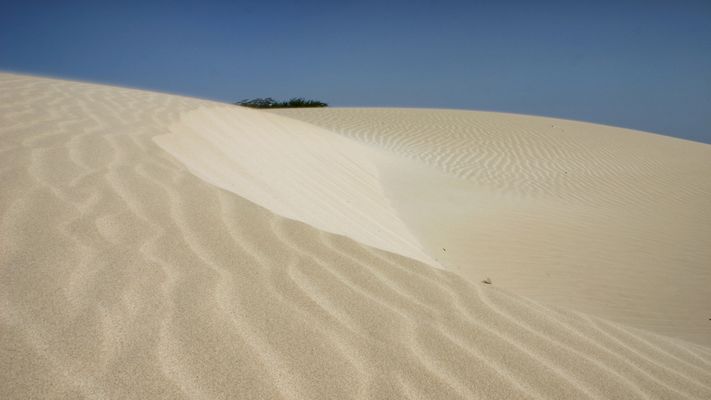 Die Muster des Windes